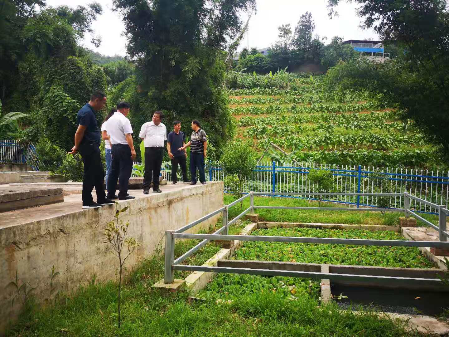 农村生活污水设备